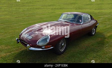 Klassischer Jaguar E-Typ in Dunkelrot auf Gras geparkt. Stockfoto