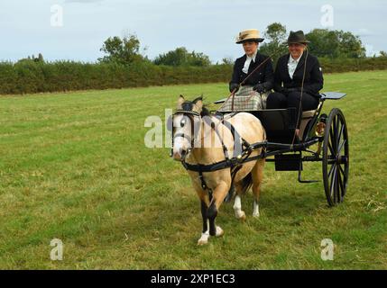 Kutschfahrt Gig mit einem Pferd und Fahrer und Beifahrer auf dem Feld. Stockfoto