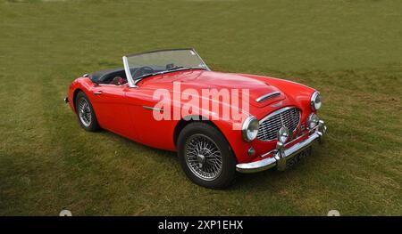 Classic 1960 Red Austin Healey 3000 Mk1 auf Gras geparkt. Stockfoto