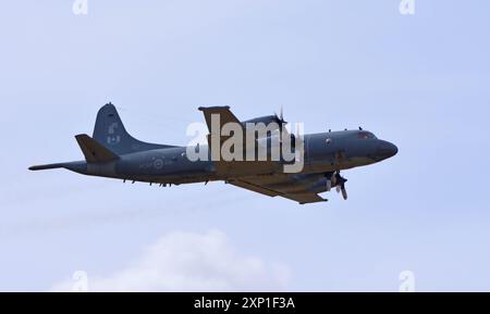 RCAF CP 140 Lockheed Aurora Seepatrouillenflugzeug, das von der Royal Canadian Air Force im Flug betrieben wird. Stockfoto