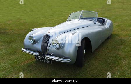 Der Jaguar XK 120 in Vintage Silver steht auf Gras. Stockfoto