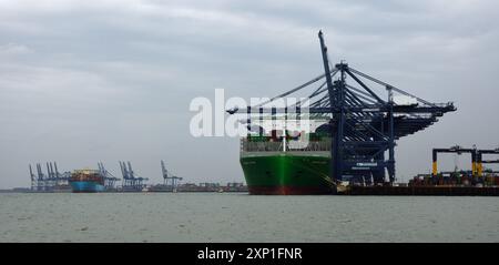 Großes Containerschiff „immer auf dem Dach“, das im Hafen von Felixstowe entladen wird Stockfoto