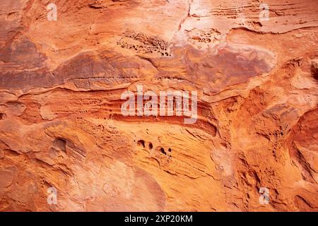 Nahaufnahme mit der komplizierten Textur und den natürlichen Erosionsmustern auf Sandstein im Fiery Furnace, Arches National Park, Utah Stockfoto