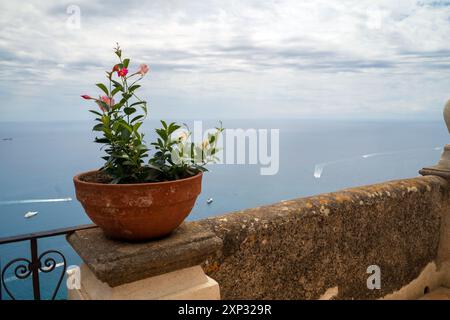 Ein Blumentopf auf einem Balkon von Terrazza dell'Infinito in der Villa Cimbrone in der italienischen Stadt Ravello. Stockfoto