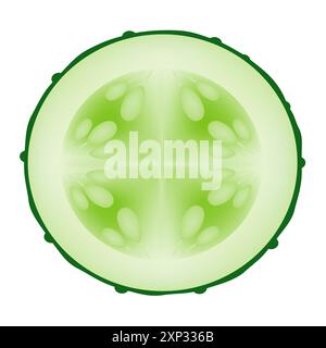 Frische Gurkenscheibe isoliert auf weißem Hintergrund. Stock Vektor