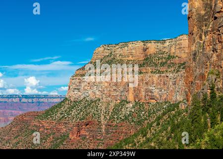 Steile Klippen am Südrand des Grand Canyon, Nationalpark Grand Canyon, USA. Stockfoto