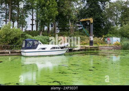 Antrim, Nordirland - 3. August 2024: Weißes Boot am Flussufer in der Nähe von Kran, mit Blaualgenblüten, was zu einer erheblichen lokalen Wasserverschmutzung führt Stockfoto