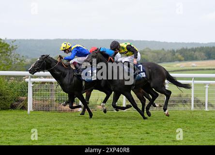 Hott Shott Ridden by Rossa Ryan (rechts) gewinnt am fünften Tag des Qatar Goodwood Festivals auf der Goodwood Racecourse, Chichester, die britischen Hengstgestüte EBF Maiden Stakes. Bilddatum: Samstag, 3. August 2024. Stockfoto