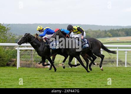 Hott Shott, geritten von Rossa Ryan (rechts) und Spell Master, geritten von Oisin Murphy, beenden in toter Hitze während der britischen Stallion Studs EBF Maiden Stakes am fünften Tag des Qatar Goodwood Festivals auf der Goodwood Racecourse in Chichester. Bilddatum: Samstag, 3. August 2024. Stockfoto