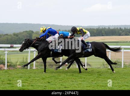 Hott Shott, geritten von Rossa Ryan (rechts) und Spell Master, geritten von Oisin Murphy, beenden in toter Hitze während der britischen Stallion Studs EBF Maiden Stakes am fünften Tag des Qatar Goodwood Festivals auf der Goodwood Racecourse in Chichester. Bilddatum: Samstag, 3. August 2024. Stockfoto