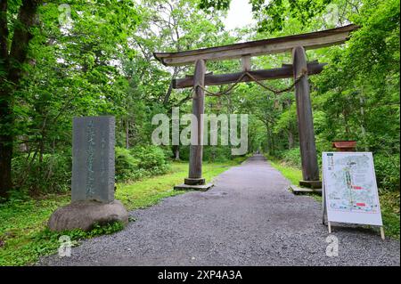 Altes Torii-Tor in der Nähe des Togakushi-Schreins Okusha in der Präfektur Nagano Stockfoto