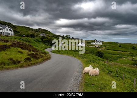 Verlassene Straße durch Küstenlandschaft mit Schafen und Hütten an der Atlantikküste der Isle of Skye in Schottland, Großbritannien Stockfoto