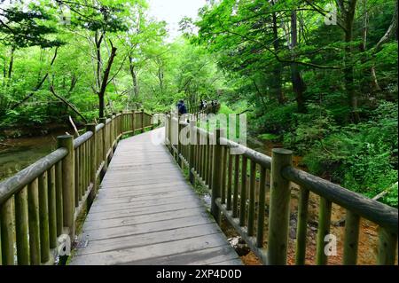 Wanderwege vom Taisho-Teich zur Kappa-bashi-Brücke bei Kamikochi Stockfoto