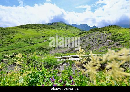 Naturlandschaft der Japanischen Alpen und Wanderwege zum Hakuba Happo Teich im Sommer Stockfoto