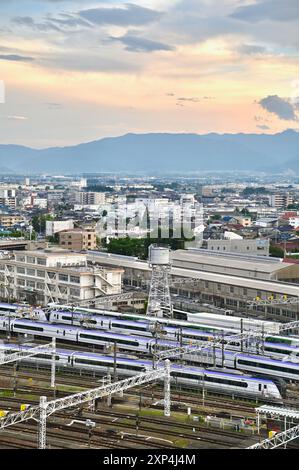 Luftaufnahme des Bahnhofs mit japanischen Zügen auf Bahngleisen bei Sonnenuntergang Stockfoto