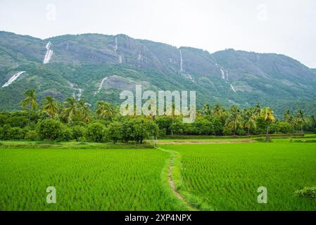 Kollengode Village mit Nelliyampathy Mountains und Seetharkundu Wasserfällen - Kerala Tourism Stockfoto