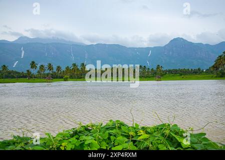 Malerisches Kollengode Village mit Nelliyampathy Mountains und Seetharkundu Wasserfällen - Kerala Tourism Stockfoto