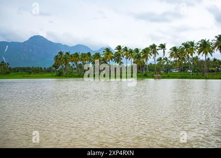 Malerisches Kollengode Village mit Nelliyampathy Mountains und Seetharkundu Wasserfällen - Kerala Tourism Stockfoto