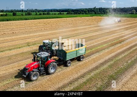 Strohernte - verladen und abfahren von quaderförmigen Strohballen mit Frontlader und Strohballen - Transportwagen, Luftbild. Gutes Stroh ist stark gefragt, als Einstreu z.B. in der Pferde - oder Schweinhaltung, als rohfaserreiches Grundfutter und Beschäftgungsmaterial und auch als Energieträger. Moderne Landtechnik und raumsparende Hochdruckballen - sowohl runde als auch eckige, gewährleisten heute eine schnelle und effiziente Strohernte. Landwirtschaftliches Symbolfoto. Region Weser-Ems Niedersachsen Deutschland *** Verladen und Transportieren von Vierkant-Strohballen mit Frontlader und Stroh Stockfoto