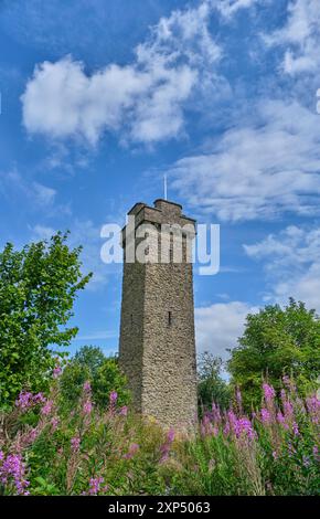 Flounders' Folly, Callow Hill, nahe Craven Arms, Shropshire Stockfoto