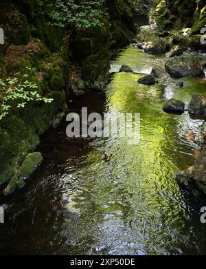Ein Spaziergang entlang des Flusses Devon an der Rumbling Bridge in Perth & Kinross, Schottland Stockfoto