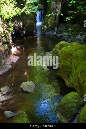 Ein Spaziergang entlang des Flusses Devon an der Rumbling Bridge in Perth & Kinross, Schottland Stockfoto