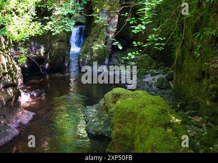 Ein Spaziergang entlang des Flusses Devon an der Rumbling Bridge in Perth & Kinross, Schottland Stockfoto