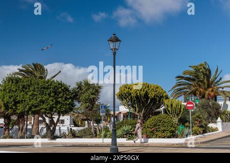 Platz mit Park in der Stadt Teguise auf Lanzarote, Kanarischen Inseln, Spanien Stockfoto