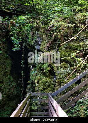 Ein Spaziergang entlang des Flusses Devon an der Rumbling Bridge in Perth & Kinross, Schottland Stockfoto