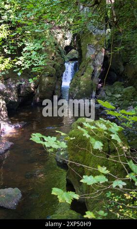 Ein Spaziergang entlang des Flusses Devon an der Rumbling Bridge in Perth & Kinross, Schottland Stockfoto