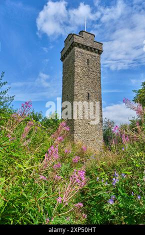 Flounders' Folly, Callow Hill, nahe Craven Arms, Shropshire Stockfoto