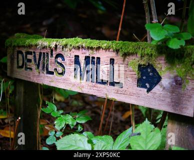 Ein Spaziergang entlang des Flusses Devon an der Rumbling Bridge in Perth & Kinross, Schottland Stockfoto