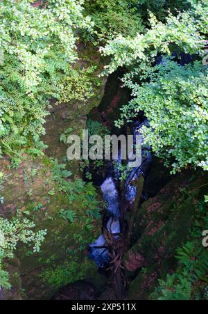 Ein Spaziergang entlang des Flusses Devon an der Rumbling Bridge in Perth & Kinross, Schottland Stockfoto