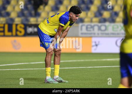 Sint Truiden, Belgien. August 2024. Die Spieler der STVV sehen enttäuscht aus, nachdem sie am Samstag, den 03. August 2024, in Sint-Truiden, am 1. Tag der Saison 2024-2025 der ersten Liga der „Jupiler Pro League“ in der belgischen Meisterschaft ein Fußballspiel zwischen Sint-Truidense VV und Sporting Charleroi verloren hatten. Das Spiel wird ohne Unterstützer-Duo gespielt, um eine Strafe nach Unterstützerunruhen in der letzten Saison nach und während des Spiels mit Standard zu zahlen. BELGA FOTO JILL DELSAUX Credit: Belga News Agency/Alamy Live News Stockfoto