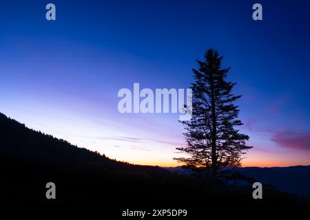 Silhouette eines Baumes vor dem farbenfrohen Sonnenaufgangshimmel bei Sonnenuntergang mit blauen Bergrücken im Hintergrund Stockfoto