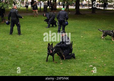 Csstle Park, Bristol, Großbritannien. August 2024. Antifaschisten waren heute Abend einer Gruppe von etwa 200 direkt im Bristol Caastle Park deutlich überlegen. Es gab eine starke Polizeipräsenz, zusammen mit vermummten Polizisten und Hundehaltern. ALMAY LIVE NEWS Credit: Natasha Quarmby/Alamy Live News Stockfoto