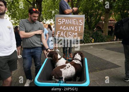 Csstle Park, Bristol, Großbritannien. August 2024. Antifaschisten waren heute Abend einer Gruppe von etwa 200 direkt im Bristol Caastle Park deutlich überlegen. Es gab eine starke Polizeipräsenz, zusammen mit vermummten Polizisten und Hundehaltern. ALMAY LIVE NEWS Credit: Natasha Quarmby/Alamy Live News Stockfoto