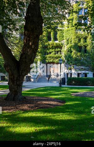 Tür zur Kent Hall auf dem Campus der University of Chicago, Chicago, IL, USA. Stockfoto