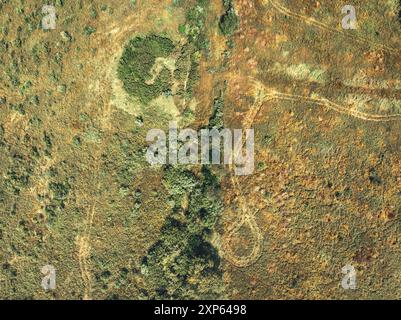 Aus der Vogelperspektive des Bunkerfeldes in der Midewin National Tallgrass Prairie, Illinois, USA. Das Gelände war das ehemalige Joliet Army Arsenal aus dem Zweiten Weltkrieg. Stockfoto