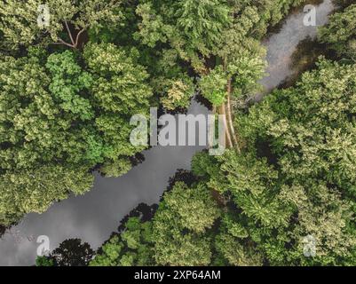 Aus der Vogelperspektive einer Schotterstraße, die einen See im Wald überquert Stockfoto