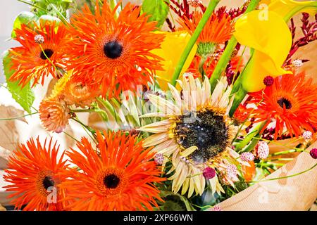 Schöne Reihe frischer Blumen in einem Blumenstrauß. Festliche Stimmung Stockfoto