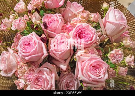 Strauß frischer rosafarbener Rosen, in Handpapier gewickelt. Urlaubsblick von oben Stockfoto