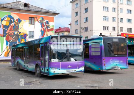 MURMANSK, RUSSLAND - 28. JULI 2024: Zwei MAZ-Shuttlebusse an einem Juli-Nachmittag auf dem Parkplatz. Öffentliche Verkehrsmittel im Norden Stockfoto