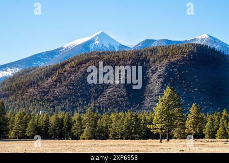 Berge mit Schnee in Flagstaff, Arizona Stockfoto