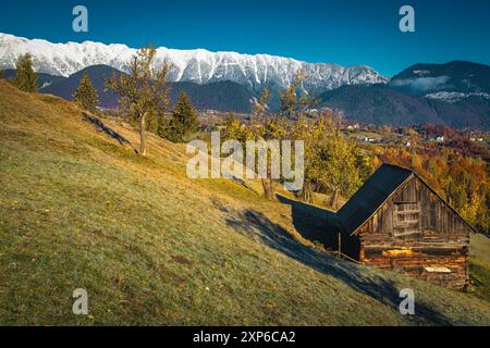 Atemberaubende Herbstlandschaft und bunte Laubbäume auf den taufrischen Hügeln. Holzhütte am Hang und schneebedeckte Berge im Hintergrund, Piatra Craiului m Stockfoto