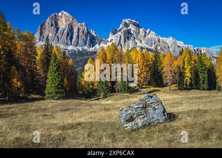 Bewundernswerte herbstliche alpine Landschaft mit farbenfrohen Mammutbäumen und wunderschönen gelben Lärchen. Farbenfroher Wald und malerische Berggipfel, Dolom Stockfoto