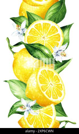 Frischer, nahtloser vertikaler Rand aus Zitronenfrüchten. Handgezeichnete Aquarellillustration isoliert auf weißem Hintergrund Stockfoto