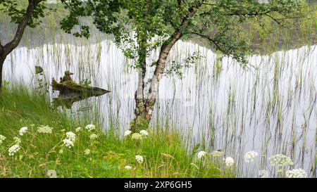 Ein Ausflug in das malerische Fjordland rund um Bergen in Westnorwegen Stockfoto