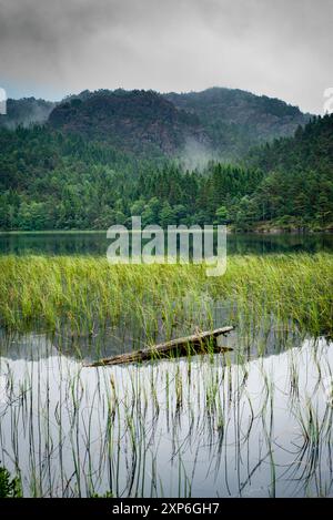 Ein Ausflug in das malerische Fjordland rund um Bergen in Westnorwegen Stockfoto