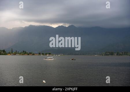 Srinagar, Indien. August 2024. An einem bewölkten Morgen segelt ein Shikara-Boot auf dem Dal-See. (Foto: Idrees Abbas/SOPA Images/SIPA USA) Credit: SIPA USA/Alamy Live News Stockfoto